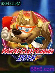 Explorando o Jogo WorldCupRussia2018 e sua Evolução